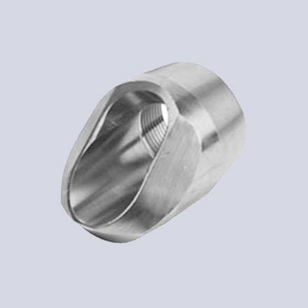 Stainless Steel Threaded Lateral Outlets